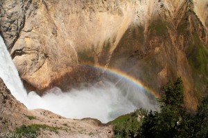 Yellowstone Falls 1